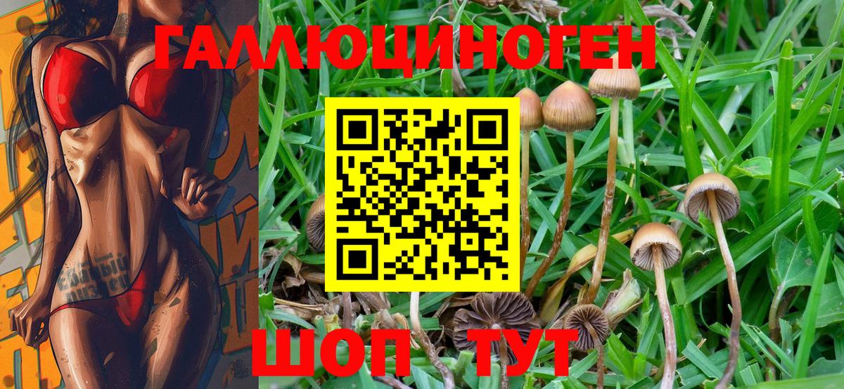 Псилоцибиновые грибы MAGIC MUSHROOMS Гусев