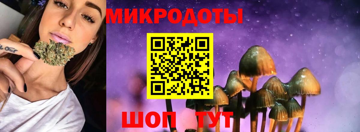 купить  сайты  Галлюциногенные грибы GOLDEN TEACHER  Вход с VPN  Псилоцибиновые грибы прущие грибы  Гусев 